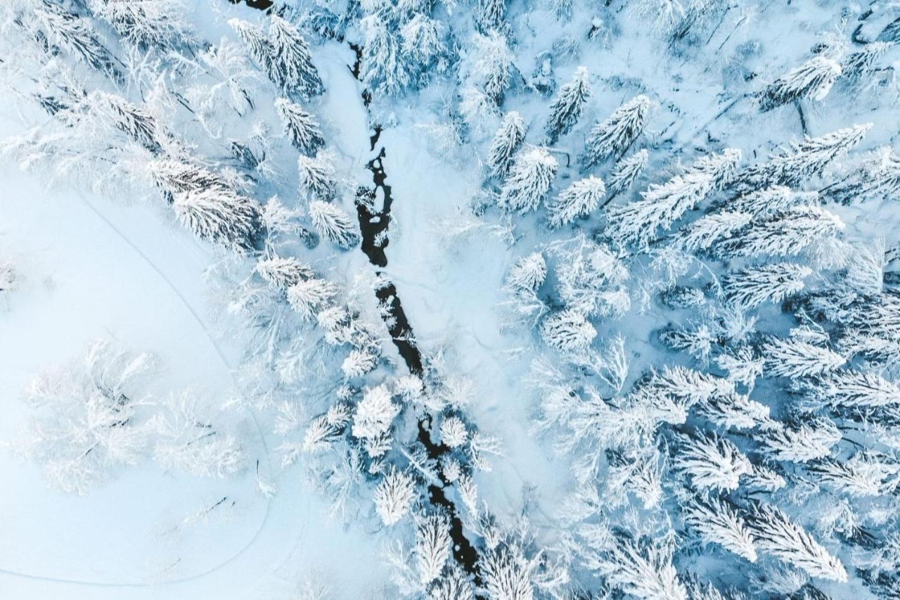 Residence Les Portes Du Soleil - Proprietes Mont Amour Avoriaz Zewnętrze zdjęcie